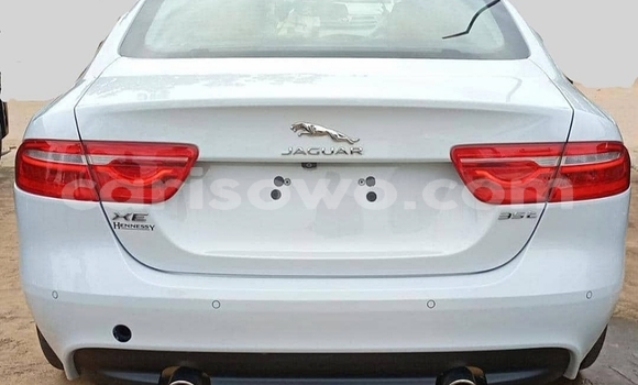 Ra Àlòkù Jaguar XE funfun Ọkọ̀ in Cotonou ni Benin Ra Àlòkù Jaguar XE funfun Ọkọ̀ in Cotonou ni Benin