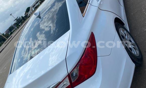 Acheter Occasion Voiture Hyundai Sonata Blanc à Cotonou, Benin Acheter Occasion Voiture Hyundai Sonata Blanc à Cotonou, Benin