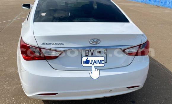 Acheter Occasion Voiture Hyundai Sonata Blanc à Cotonou, Benin Acheter Occasion Voiture Hyundai Sonata Blanc à Cotonou, Benin
