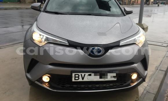 Ra Àlòkù Toyota C-HR Silver Ọkọ̀ in Cotonou ni Benin