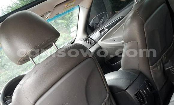 Ra Àlòkù Hyundai Sonata Silver Ọkọ̀ in Abomey Calavi ni Benin Ra Àlòkù Hyundai Sonata Silver Ọkọ̀ in Abomey Calavi ni Benin