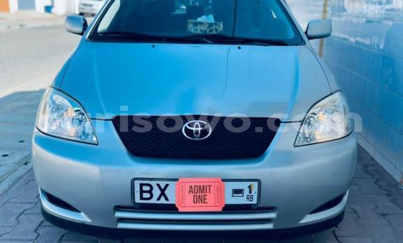 Acheter Occasion Voiture Toyota Corolla Gris à Abomey Calavi, Benin Acheter Occasion Voiture Toyota Corolla Gris à Abomey Calavi, Benin