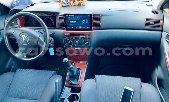 Acheter Occasion Voiture Toyota Corolla Gris à Abomey Calavi, Benin Acheter Occasion Voiture Toyota Corolla Gris à Abomey Calavi, Benin