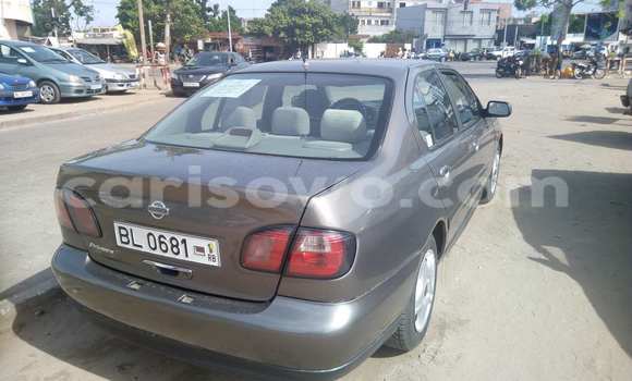 Acheter Occasion Voiture Nissan Primera Marron à Savalou, Benin Acheter Occasion Voiture Nissan Primera Marron à Savalou, Benin