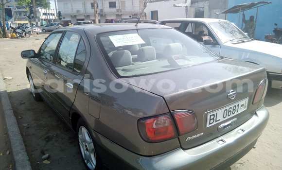 Acheter Occasion Voiture Nissan Primera Marron à Savalou, Benin Acheter Occasion Voiture Nissan Primera Marron à Savalou, Benin