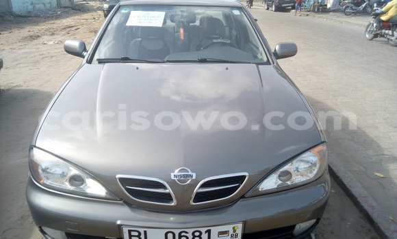 Acheter Occasion Voiture Nissan Primera Marron à Savalou, Benin Acheter Occasion Voiture Nissan Primera Marron à Savalou, Benin