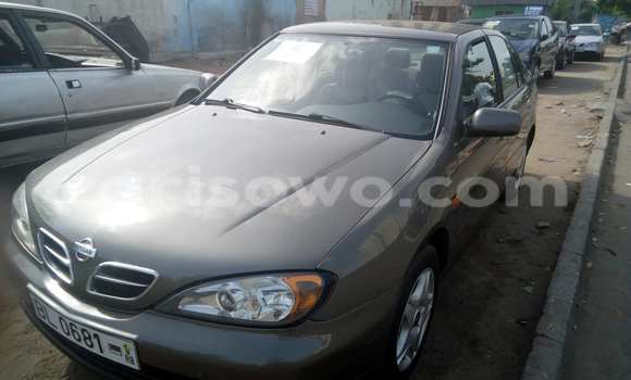 Acheter Occasion Voiture Nissan Primera Marron à Savalou, Benin Acheter Occasion Voiture Nissan Primera Marron à Savalou, Benin