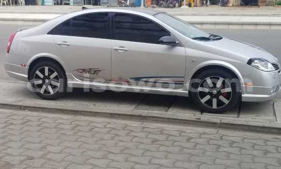 Buy Used Nissan Primera Silver Car in Abomey Calavi in Benign Buy Used Nissan Primera Silver Car in Abomey Calavi in Benign