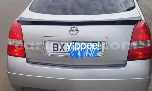 Buy Used Nissan Primera Silver Car in Abomey Calavi in Benign Buy Used Nissan Primera Silver Car in Abomey Calavi in Benign
