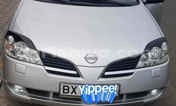 Buy Used Nissan Primera Silver Car in Abomey Calavi in Benign Buy Used Nissan Primera Silver Car in Abomey Calavi in Benign
