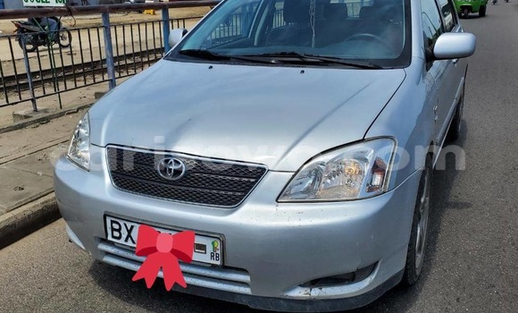 Acheter Occasion Voiture Toyota Corolla Gris à Cotonou, Benin