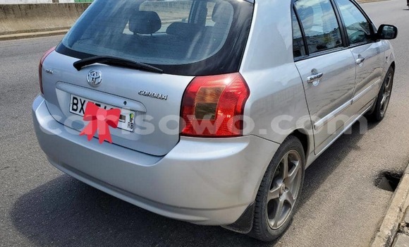 Acheter Occasion Voiture Toyota Corolla Gris à Cotonou, Benin Acheter Occasion Voiture Toyota Corolla Gris à Cotonou, Benin