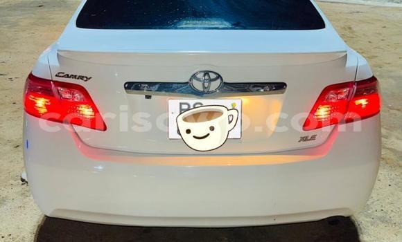 Buy Used Toyota Camry Silver Car in Cotonou in Benign