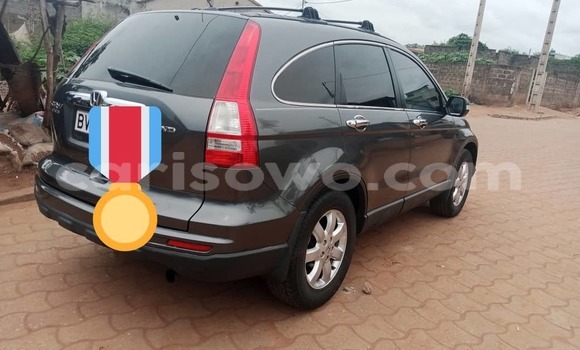 Acheter Occasion Voiture Honda CR–V Gris à Cotonou, Benin