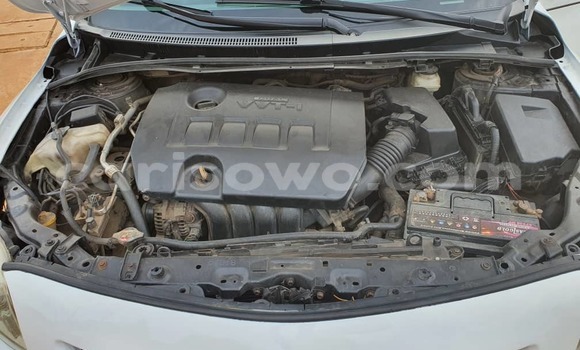 Ra Àlòkù Toyota Corolla funfun Ọkọ̀ in Abomey Calavi ni Benin Ra Àlòkù Toyota Corolla funfun Ọkọ̀ in Abomey Calavi ni Benin