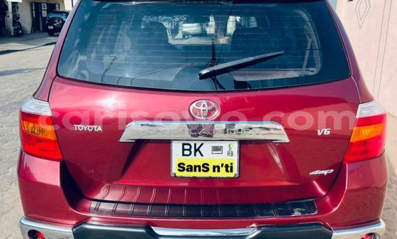 Acheter Occasion Voiture Toyota Highlander Rouge à Cotonou, Benin
