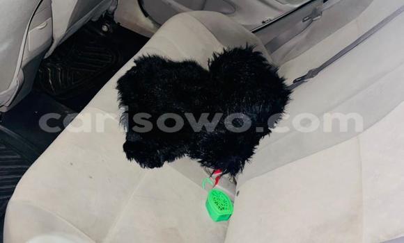 Acheter Occasion Voiture Toyota Corolla Cross Blanc à Abomey Calavi, Benin Acheter Occasion Voiture Toyota Corolla Cross Blanc à Abomey Calavi, Benin