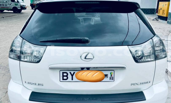 Buy New Lexus RX 330 White Car in Cotonou in Benign Buy New Lexus RX 330 White Car in Cotonou in Benign