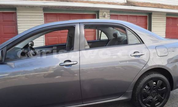 Acheter Import Voiture Toyota Corolla Gris à Cotonou, Benin Acheter Import Voiture Toyota Corolla Gris à Cotonou, Benin