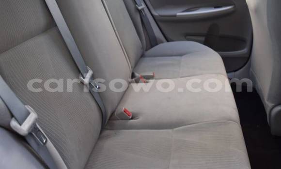 Acheter Import Voiture Toyota Corolla Gris à Cotonou, Benin Acheter Import Voiture Toyota Corolla Gris à Cotonou, Benin