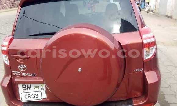 Acheter Occasion Voiture Toyota RAV4 Rouge à Cotonou, Benin Acheter Occasion Voiture Toyota RAV4 Rouge à Cotonou, Benin