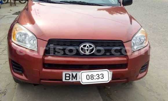 Acheter Occasion Voiture Toyota RAV4 Rouge à Cotonou, Benin Acheter Occasion Voiture Toyota RAV4 Rouge à Cotonou, Benin