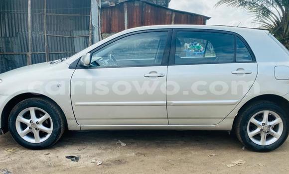 Acheter Occasion Voiture Toyota Corolla Gris à Cotonou, Benin Acheter Occasion Voiture Toyota Corolla Gris à Cotonou, Benin