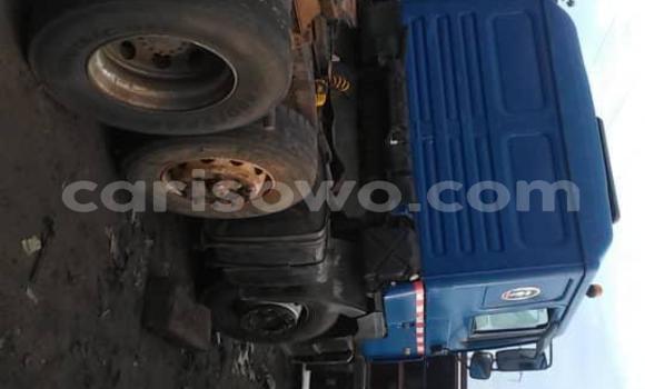 Acheter Occasion Utilitaire Man Silent Bleu à Abomey Calavi, Benin Acheter Occasion Utilitaire Man Silent Bleu à Abomey Calavi, Benin