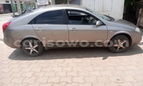 Acheter Occasion Voiture Nissan Primera Autre à Cotonou, Benin