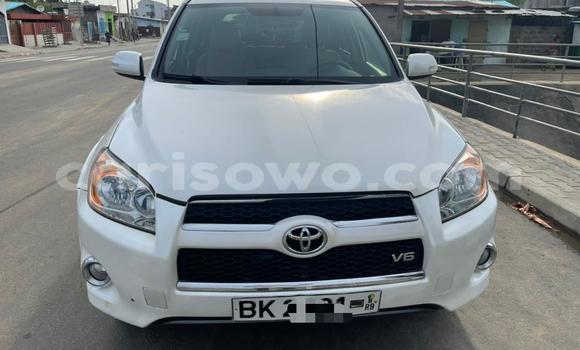 Sayi Na hannu Toyota RAV4 White Mota in Cotonou a Benin Sayi Na hannu Toyota RAV4 White Mota in Cotonou a Benin