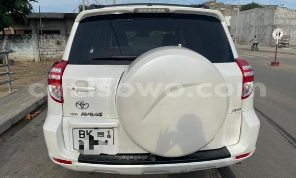 Sayi Na hannu Toyota RAV4 White Mota in Cotonou a Benin Sayi Na hannu Toyota RAV4 White Mota in Cotonou a Benin