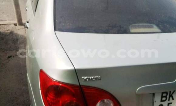 Ra Àlòkù Toyota Corolla Silver Ọkọ̀ in Abomey Calavi ni Benin