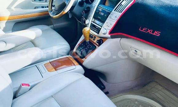 Buy New Lexus RX 350 White Car in Cotonou in Benign Buy New Lexus RX 350 White Car in Cotonou in Benign