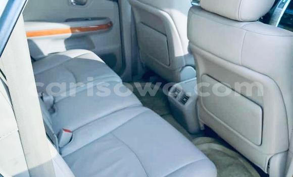 Buy New Lexus RX 350 White Car in Cotonou in Benign Buy New Lexus RX 350 White Car in Cotonou in Benign