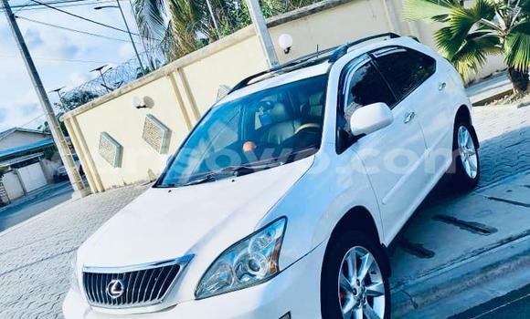 Buy New Lexus RX 350 White Car in Cotonou in Benign Buy New Lexus RX 350 White Car in Cotonou in Benign