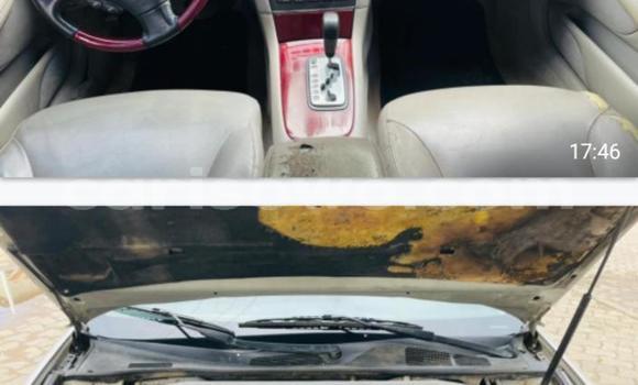 Buy Used Lexus ES 300 Beige Car in Cotonou in Benign Buy Used Lexus ES 300 Beige Car in Cotonou in Benign