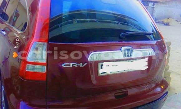 Sayi Na hannu Honda CR–V Red Mota in Cotonou a Benin