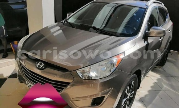 Acheter Occasion Voiture Hyundai Tucson Marron à Cotonou, Benin