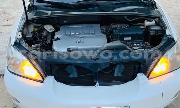 Acheter Occasion Voiture Lexus RX 350 Blanc à Cotonou, Benin Acheter Occasion Voiture Lexus RX 350 Blanc à Cotonou, Benin