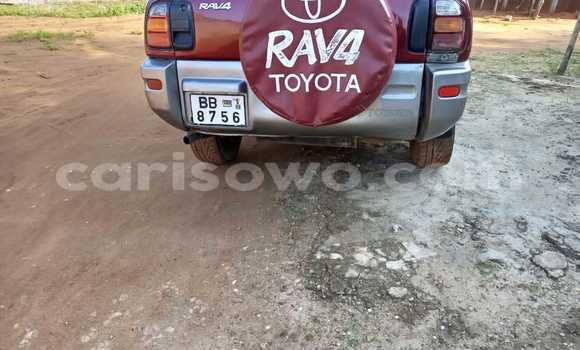 Buy Used Toyota RAV4 Red Car in Cotonou in Benign Buy Used Toyota RAV4 Red Car in Cotonou in Benign