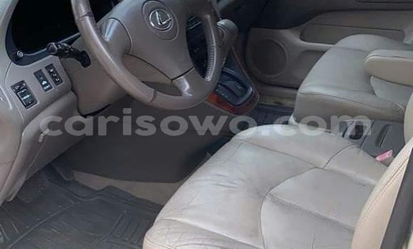 Sayi Na hannu Lexus RX 300 Azurfa Mota in Cotonou a Benin Sayi Na hannu Lexus RX 300 Azurfa Mota in Cotonou a Benin