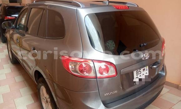 Buy Used Hyundai Santa Fe Brown Car in Cotonou in Benign