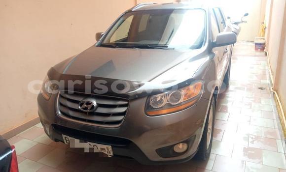 Acheter Occasion Voiture Hyundai Santa Fe Marron à Cotonou, Benin Acheter Occasion Voiture Hyundai Santa Fe Marron à Cotonou, Benin