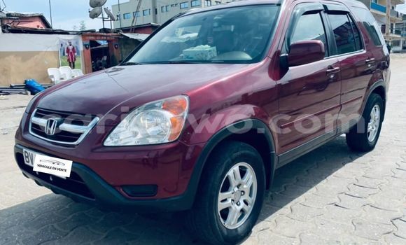 Acheter Occasion Voiture Honda CR–V Rouge à Cotonou, Benin Acheter Occasion Voiture Honda CR–V Rouge à Cotonou, Benin
