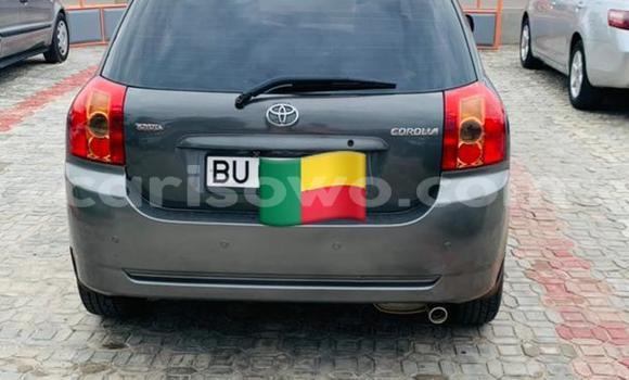 Ra Àlòkù Toyota Corolla Silver Ọkọ̀ in Abomey Calavi ni Benin Ra Àlòkù Toyota Corolla Silver Ọkọ̀ in Abomey Calavi ni Benin