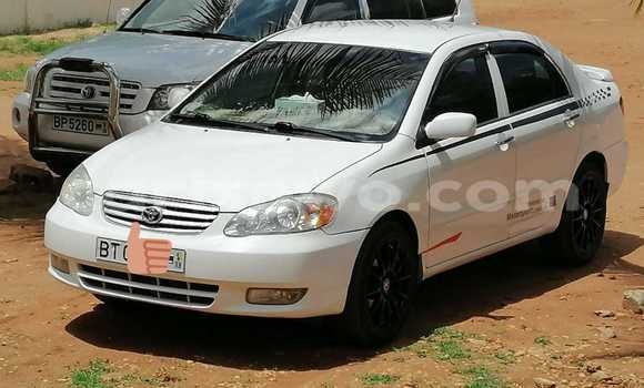 Sayi Na hannu Toyota Corolla White Mota in Cotonou a Benin Sayi Na hannu Toyota Corolla White Mota in Cotonou a Benin