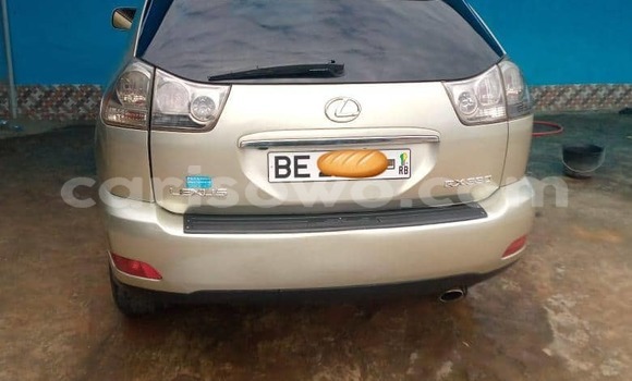 Acheter Occasion Voiture Lexus RX 330 Gris à Cotonou, Benin