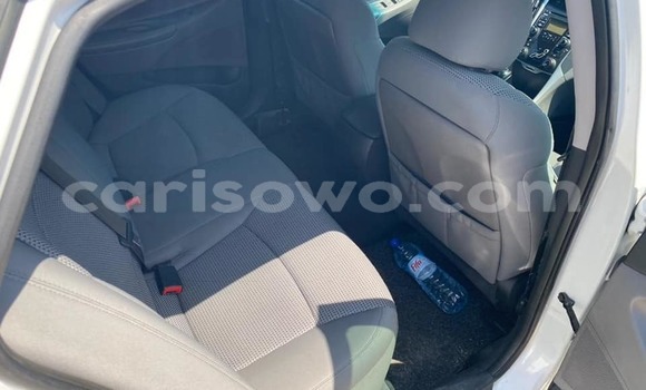 Sayi Na hannu Hyundai Sonata White Mota in Cotonou a Benin Sayi Na hannu Hyundai Sonata White Mota in Cotonou a Benin