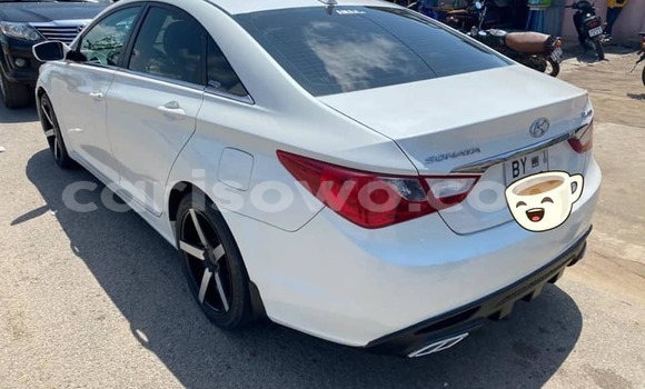 Sayi Na hannu Hyundai Sonata White Mota in Cotonou a Benin Sayi Na hannu Hyundai Sonata White Mota in Cotonou a Benin