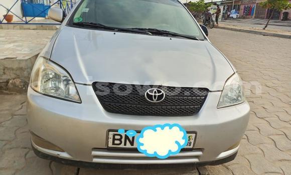 Ra Àlòkù Toyota Corolla Silver Ọkọ̀ in Cotonou ni Benin